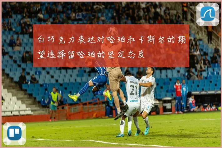 白巧克力表达对哈珀和卡斯尔的期望选择留哈珀的坚定态度